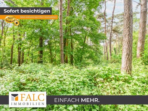 Naturbelassener Waldbereich - Ein Stück Holter Heide fürs eigene Portfolio