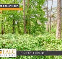 Ein Stück Holter Heide fürs eigene Portfolio - Brüggen