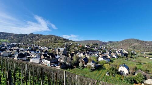 Umgebung Talsicht - 