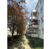 +++++ Wohnglück! süsse 2 -Raum-Wg im beliebten Wohngebiet Chemnitz HEIMGARTEN+++++ +++++