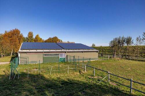 Offenstall und Paddock - 