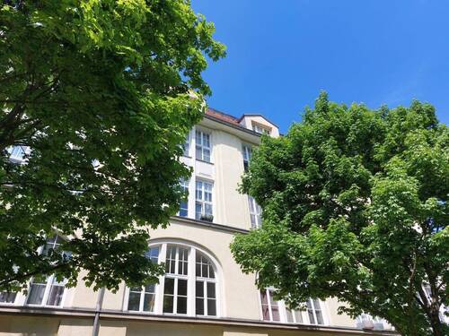 Rückansicht - 