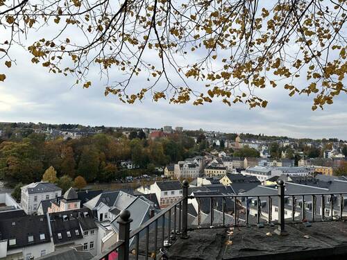 IMG 6506 - 