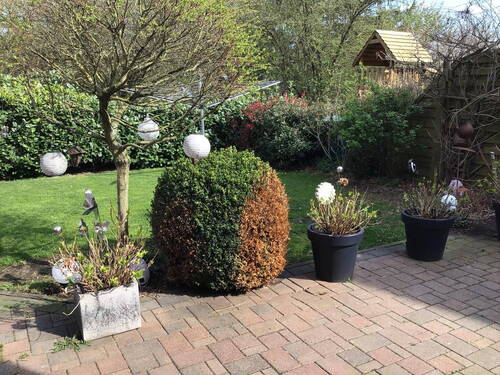 Terrasse - 5 Zimmer Doppelhaushälfte in Mechernich