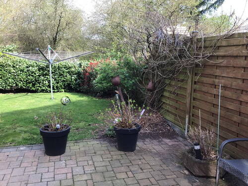 Garten - Doppelhaushälfte mit 126,00 m&sup2; in Mechernich zum Kaufen