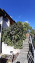 Treppenzugang zum Haus - 