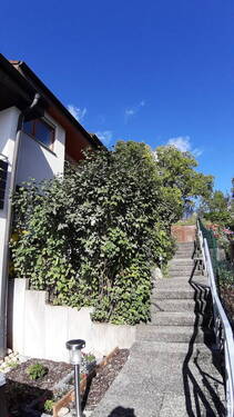 Treppenzugang zum Haus - 