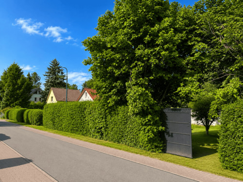 Außenansicht - Grundstück in Schönwalde