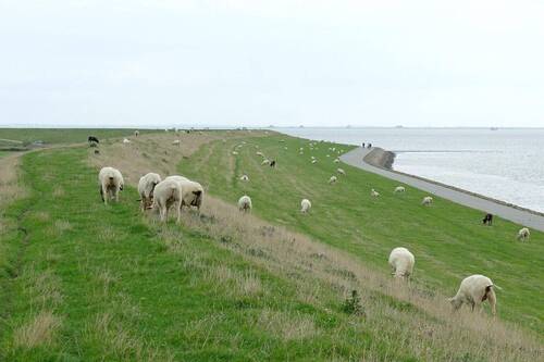 Direkt am Deich des Hafens - 