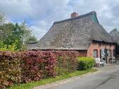 Ansicht - 5 Zimmer Einfamilienhaus zum Kaufen in Nordermeldorf