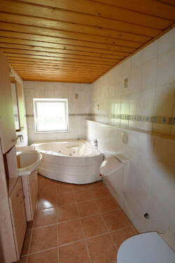 Bild6 - 