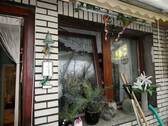 Flur- und Küchenfenster.JPG - 4 Zimmer Einfamilienhaus in Frankfurt (Oder)