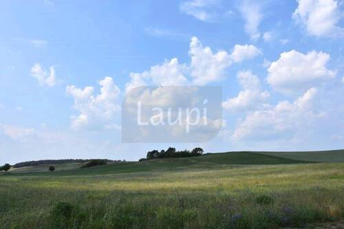 Blick in die Landschaft - 