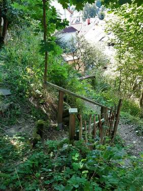 ehemaliger Wanderweg zwischen den Grundstücken - 