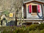 mit Gartenhäuschen für jung oder alt - Freizeitgrundstück mit Potential