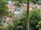 Blick aus dem Garten von ganz oben - 