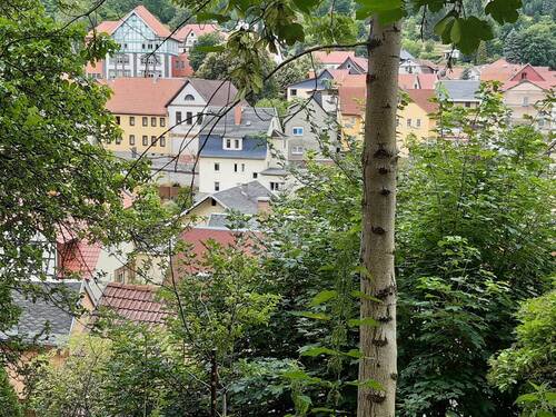 Blick aus dem Garten von ganz oben - 