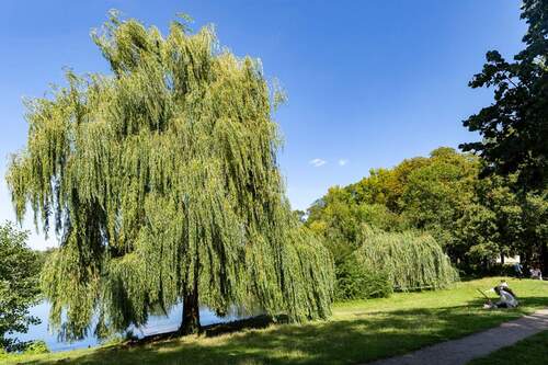 Umgebung - 
