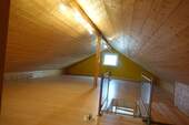 Dachspitz - 