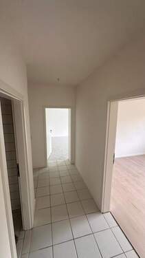 WhatsApp Image 2026-02-06 at 10.08.54 (3).jpeg - 