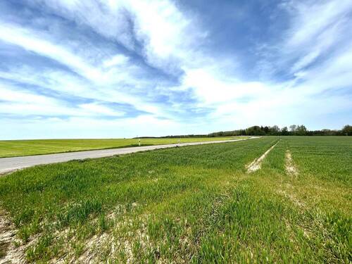 Ortsrand - Grundstück zum Kaufen in Geltendorf