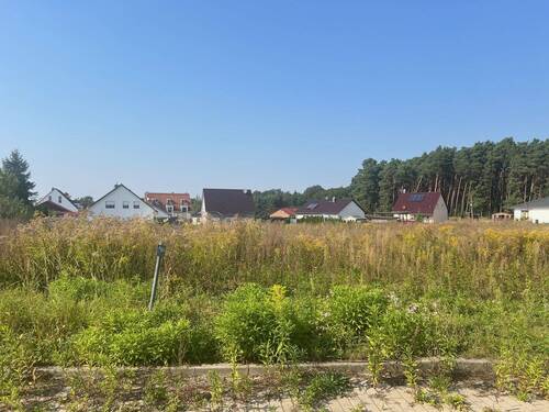 Blick auf das Grundstück - Grundstück in Reichenwalde
