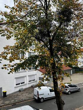 Aussicht Wohnzimmer zur Straße - 