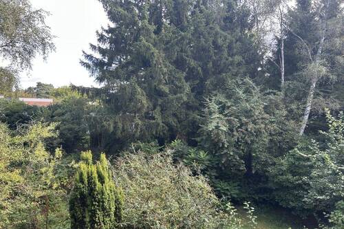Bilck in den Garten - 