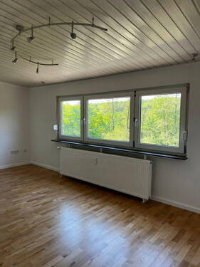 Fensterfront Wohn/Esszimmer - 