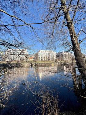 IMG_3626 - 
