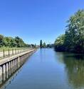 IMG_2863 - 