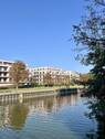 IMG_0731 - 