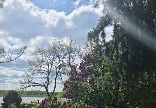 Seeblick - 
