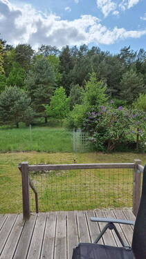 Blick in den Garten - 