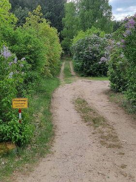 Waldweg zum Bootshaus - 