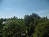 Ausblick - 