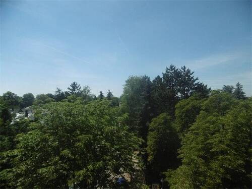 Ausblick - 