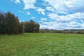 Frontansicht - 