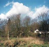 Attraktives Baugrundstück in Spenge - Spenge / Lenzinghausen