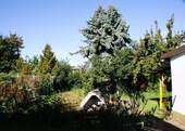 Garten - 5 Zimmer Einfamilienhaus zum Kaufen in Bruchsal