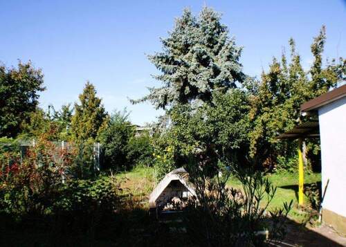 Garten - 5 Zimmer Einfamilienhaus zum Kaufen in Bruchsal