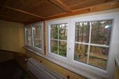 Waldblick - 
