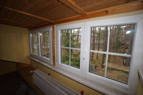 Waldblick - 