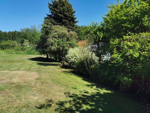 Hinterer Garten mit den v. Büschen umrahmten Bach - 