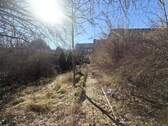Garten mit Entwicklungspotential - 