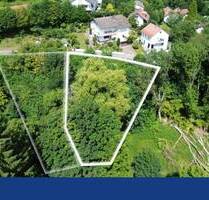 Eins von Zwei: Ca.1200 qm Baugrundstück im Grünen in Hilsenhain - Heiligkreuzsteinach