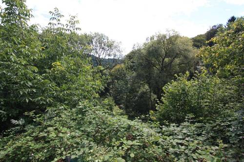 Unterdorfweg 5 1 - Grundstück in Heiligkreuzsteinach zum Kaufen