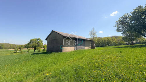 20250429_102349528_iOS - Einfamilienhaus mit 168,70 m² in Ilshofen / Leofels zum Kaufen