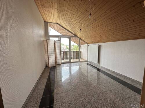 Studio DG - 
