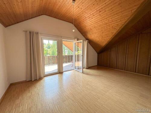 Zimmer DG - 